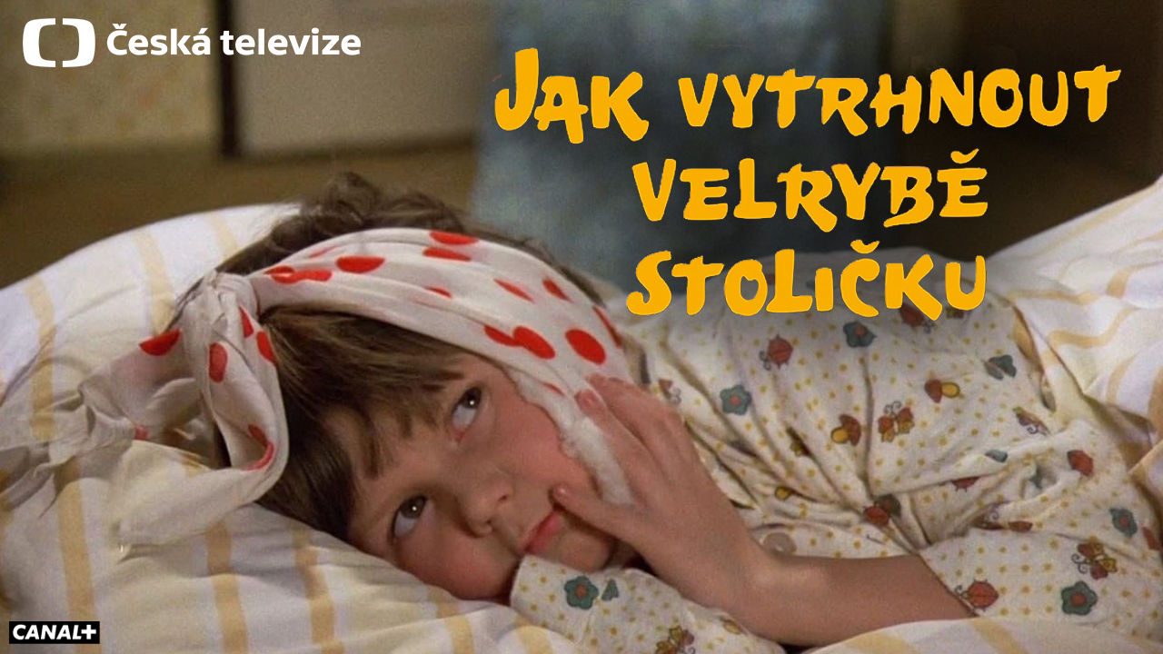 Jak vytrhnout velrybě stoličku