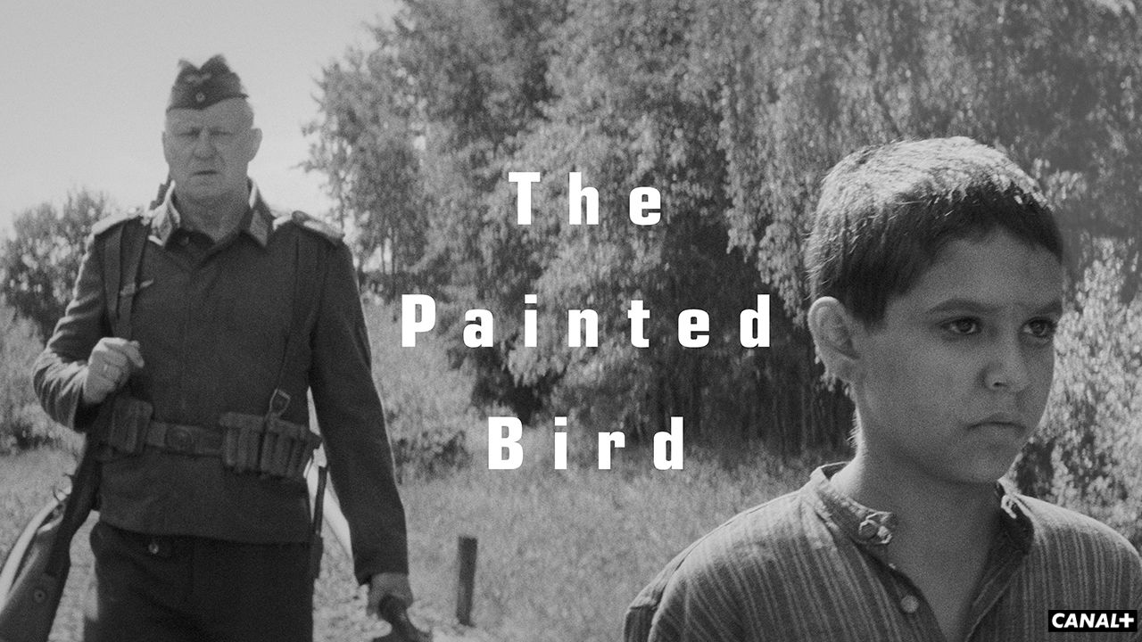 The Painted Bird