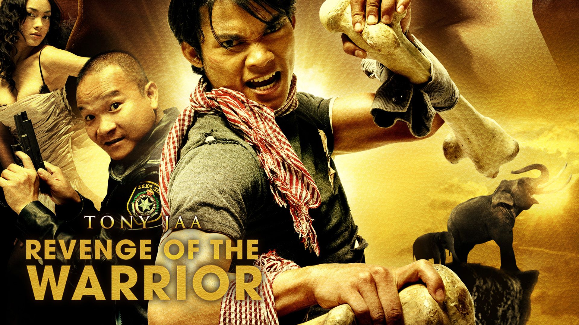 Revenge of the Warrior - Tom Yum Goong