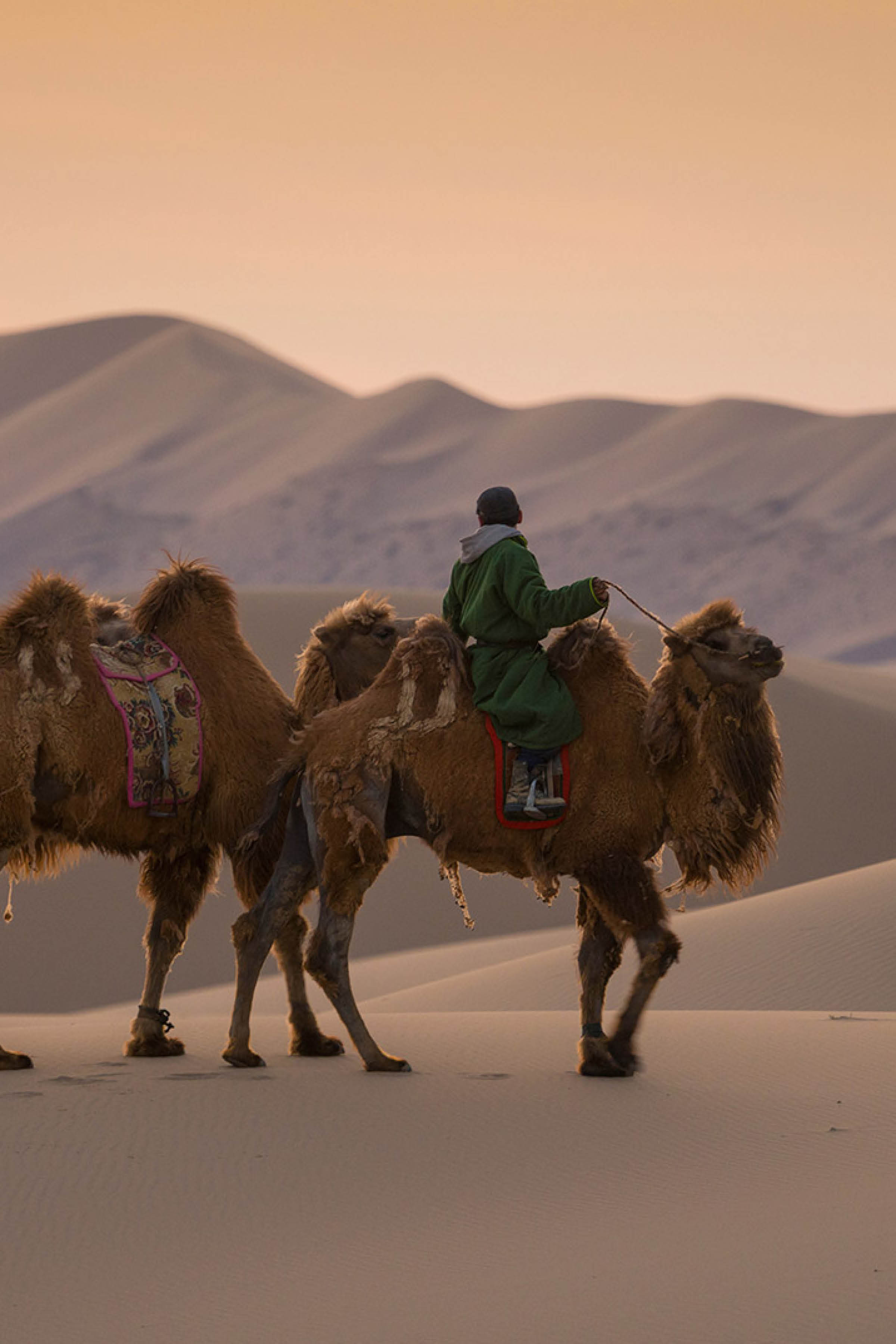 Singing Sands & Saudi Howling Cave