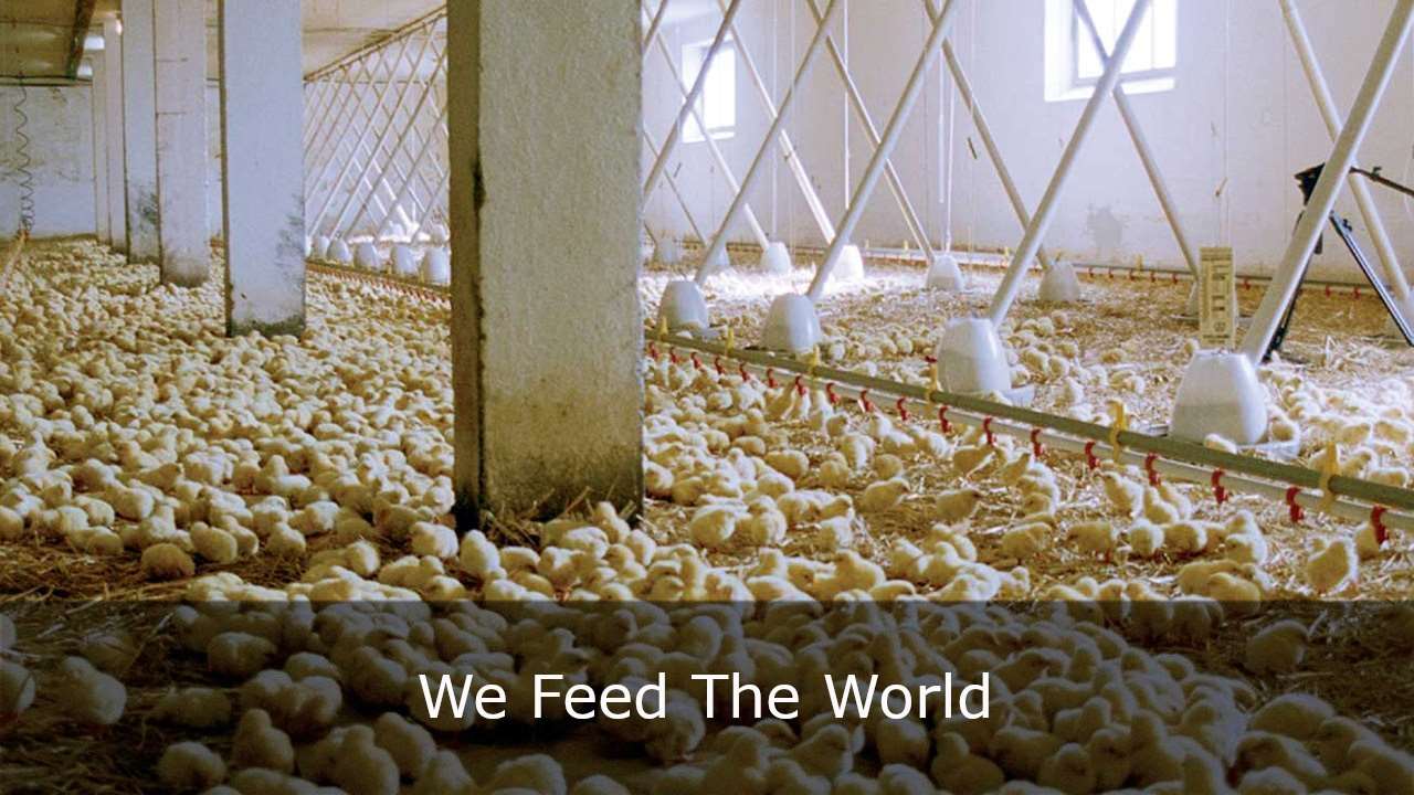 We Feed The World