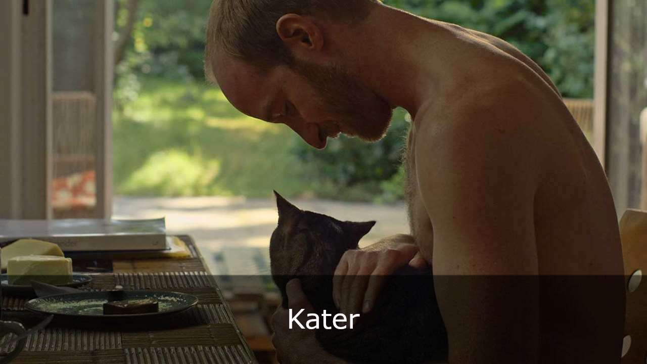 Kater