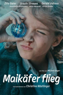 Maikäfer flieg