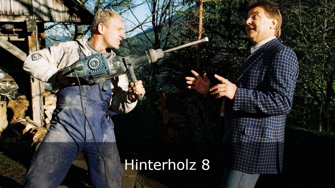 Hinterholz 8