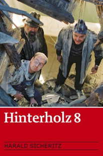 Hinterholz 8