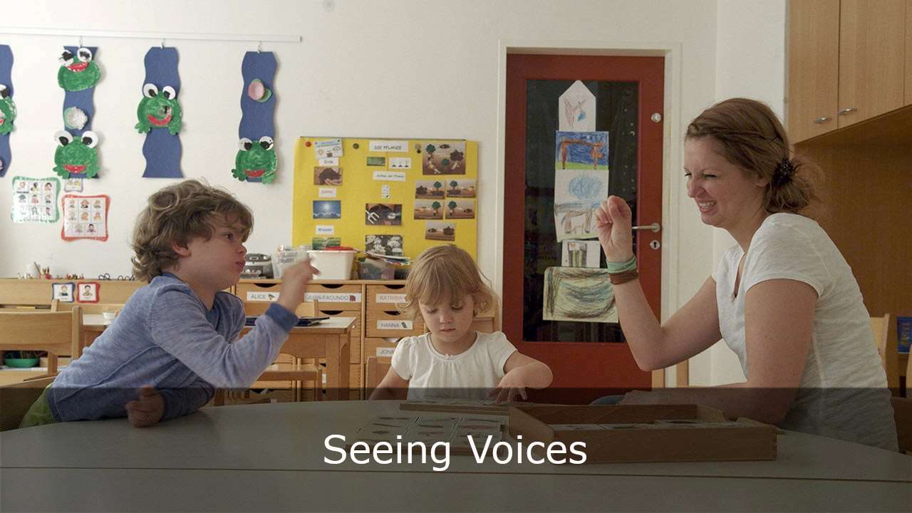 Seeing Voices