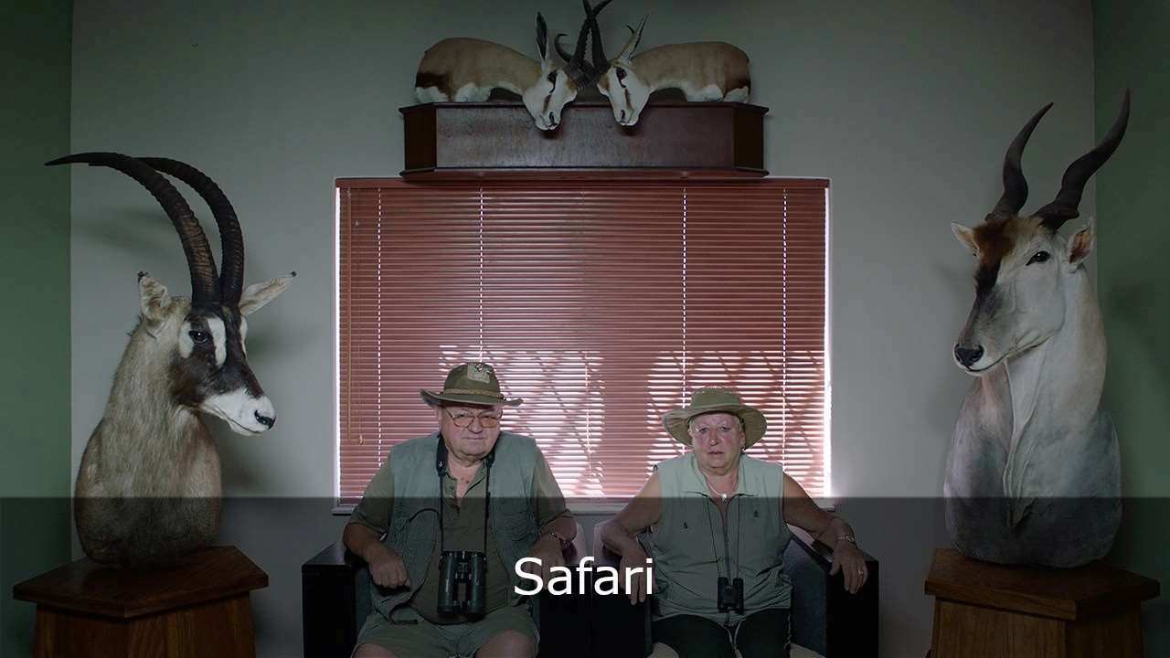 Safari