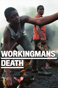 Workingmans Death