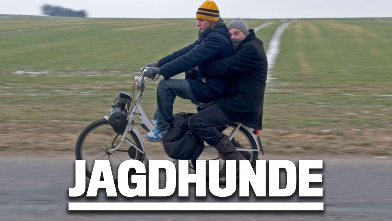 Jagdhunde