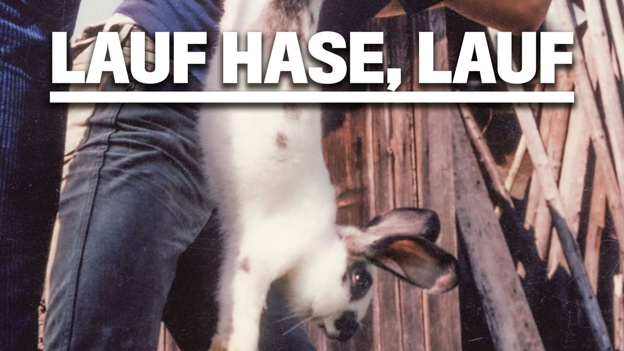 Lauf, Hase, lauf