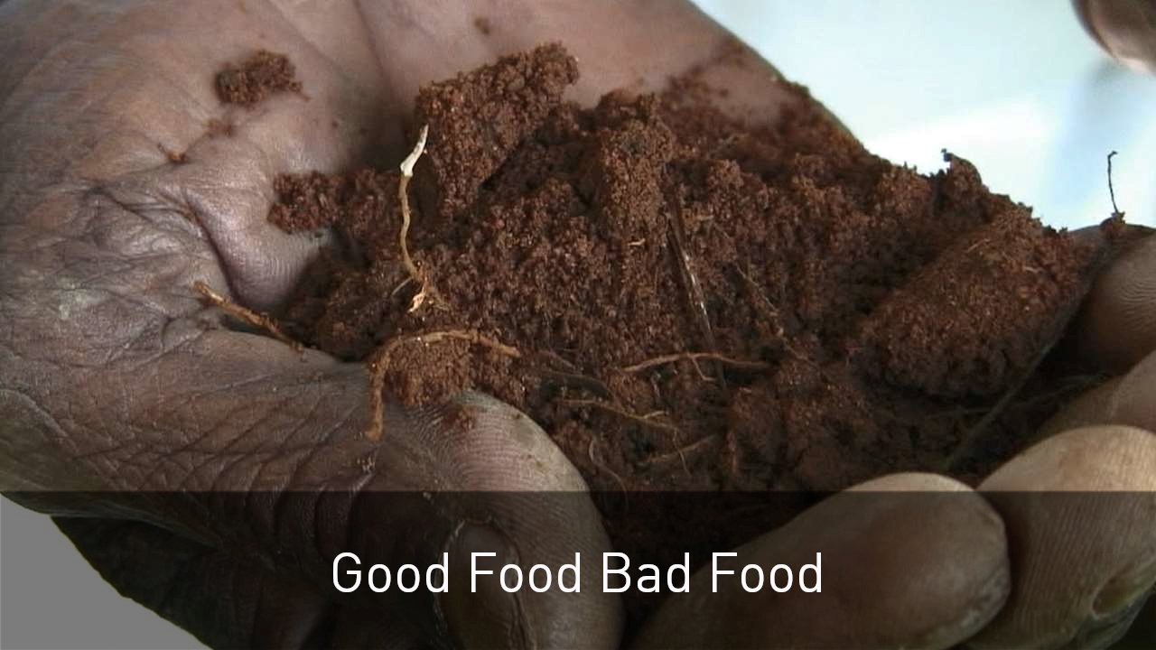 Good Food Bad Food