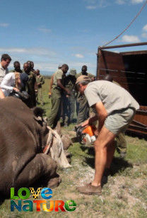 Ol Pejeta Diaries - The Pendulum of Existence