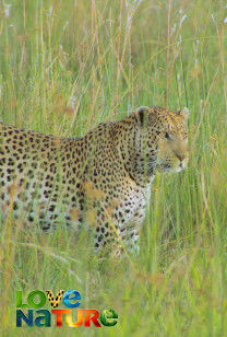 Apele Africii - Okavango: agentul vieţii în deşertul Kalahari