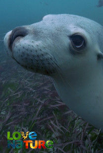 Kangaroo Island