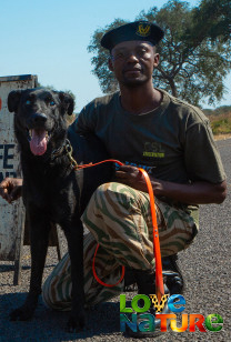 Honden met een bijzondere baan 1 - S1