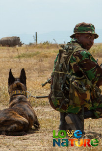 Dogs With Extraordinary Jobs - The Protectors