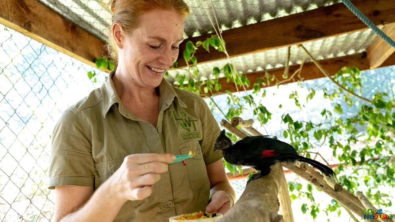 Grote en kleine dieren