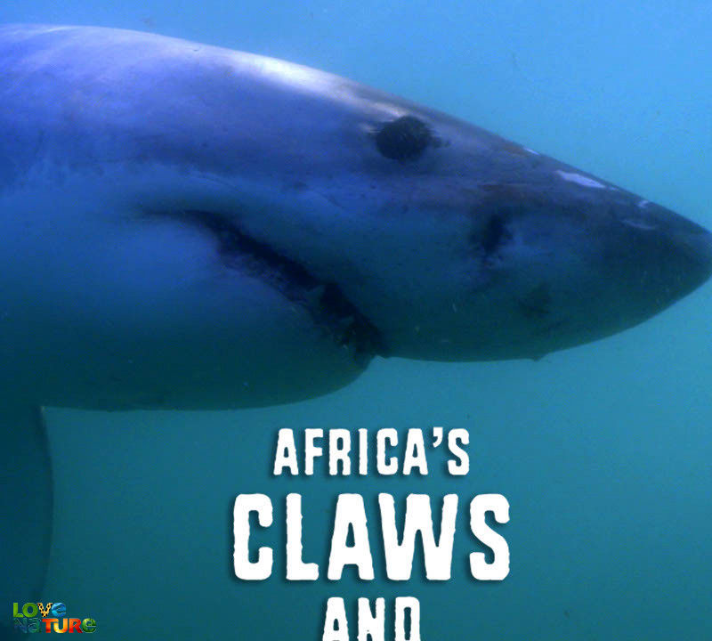 Africa's Claws And Jaws