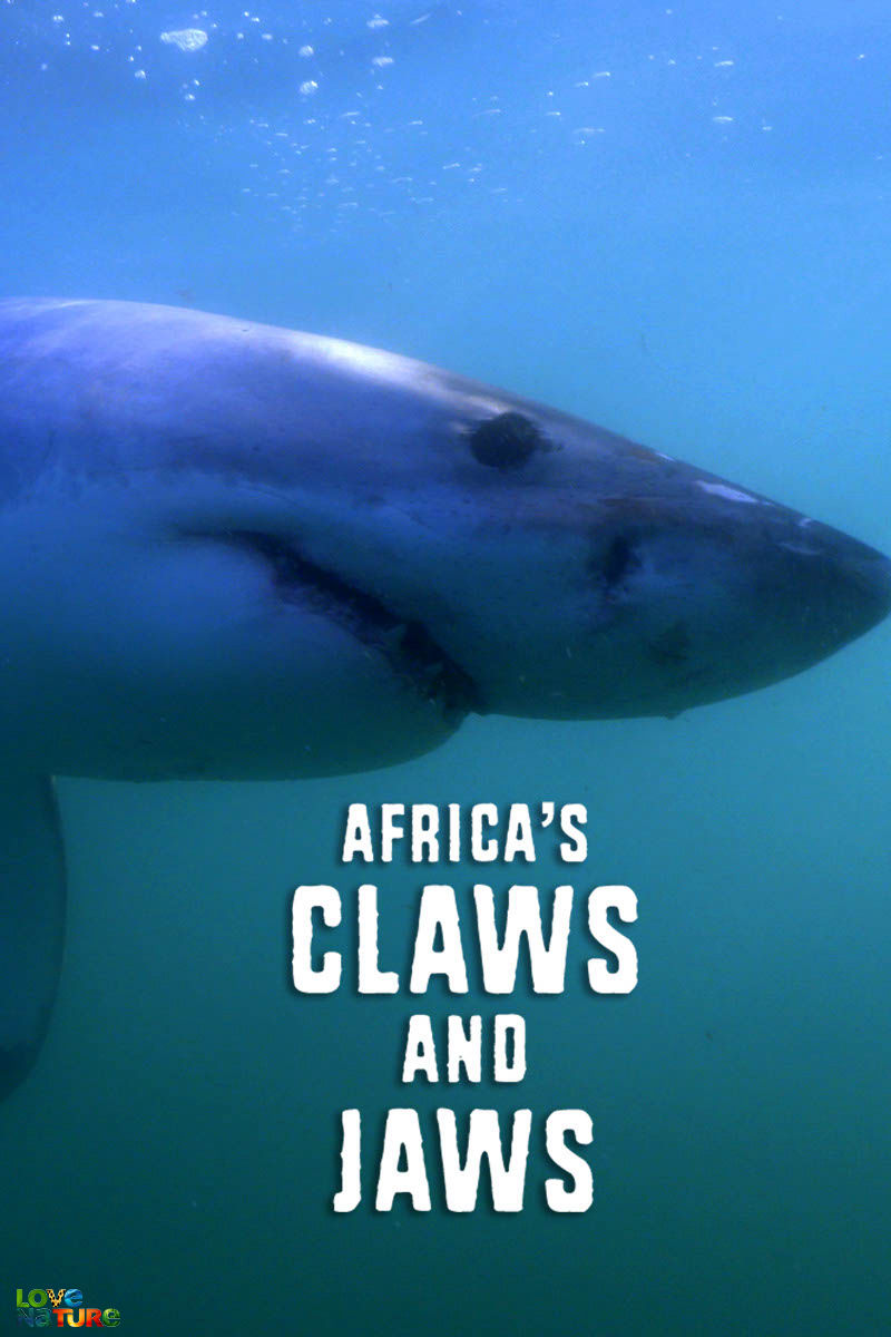 Africa's Claws And Jaws