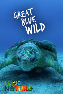 Grote Wilde Blauwe