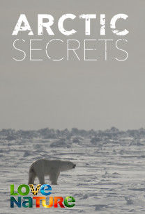Geheimen van het noordpoolgebied