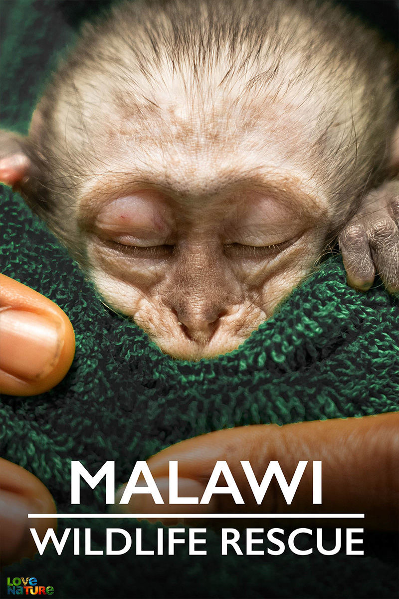 Malawi Wildlife Rescue