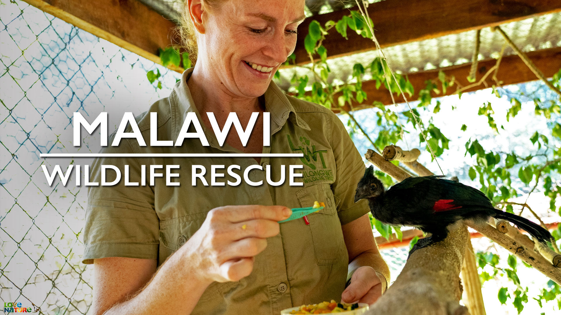 Malawi Wildlife Rescue