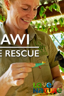 Malawi Wildlife Rescue 1