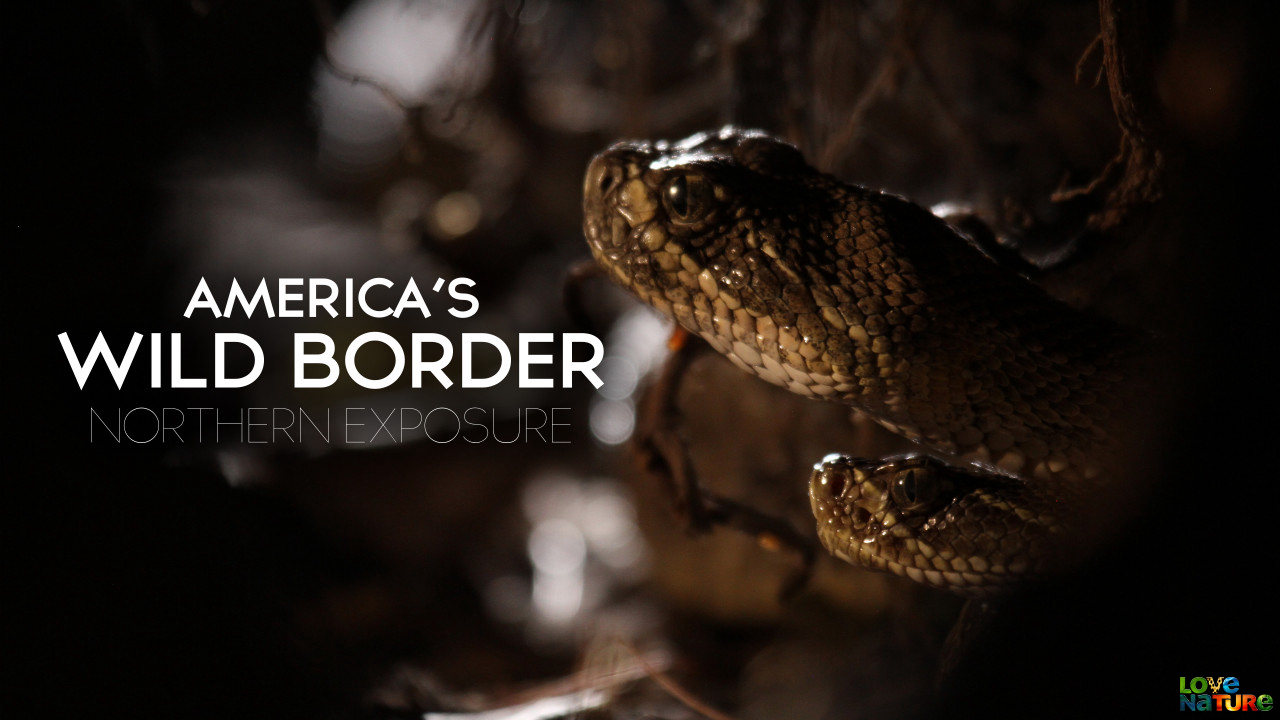 Amerika's wilde grens: de noorkant 1