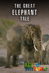 The Great Elephant Tale