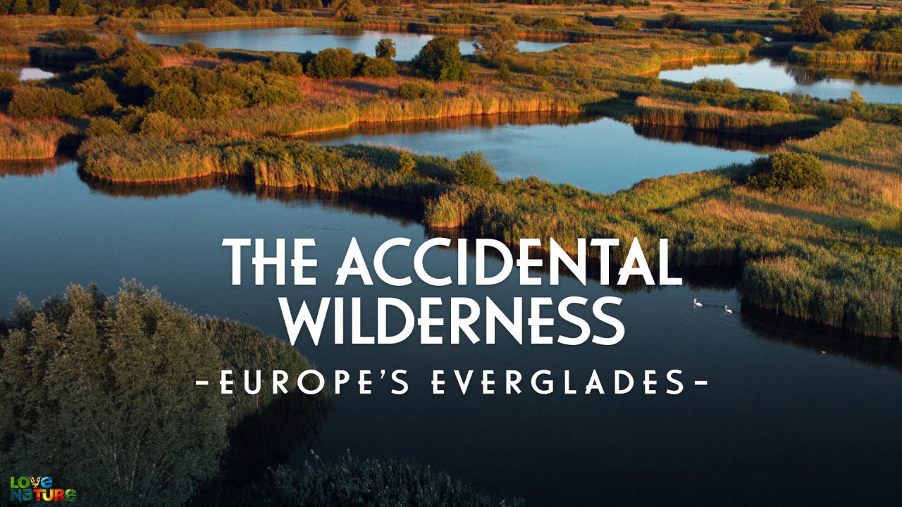 Véletlen vadon: Európa Everglades-e