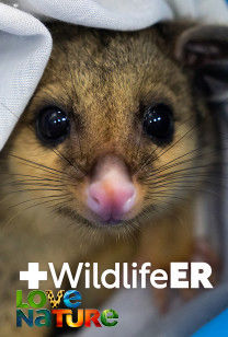 Wildlife Er