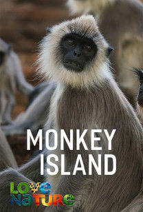 Monkey Island