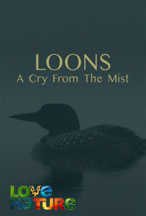 Loons: A Cry From The M