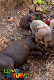 Bewakers van de wildernis - Operatie neushoorn