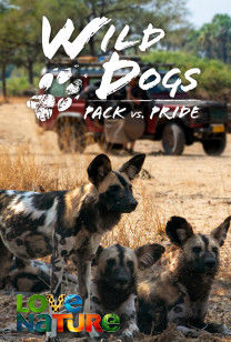 Wild Dogs: Pack Vs. Pri