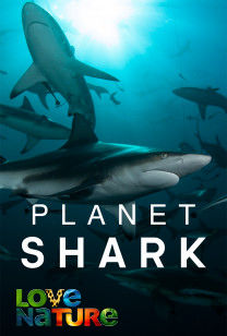 Planet Shark