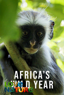 Afrika's wilde jaar