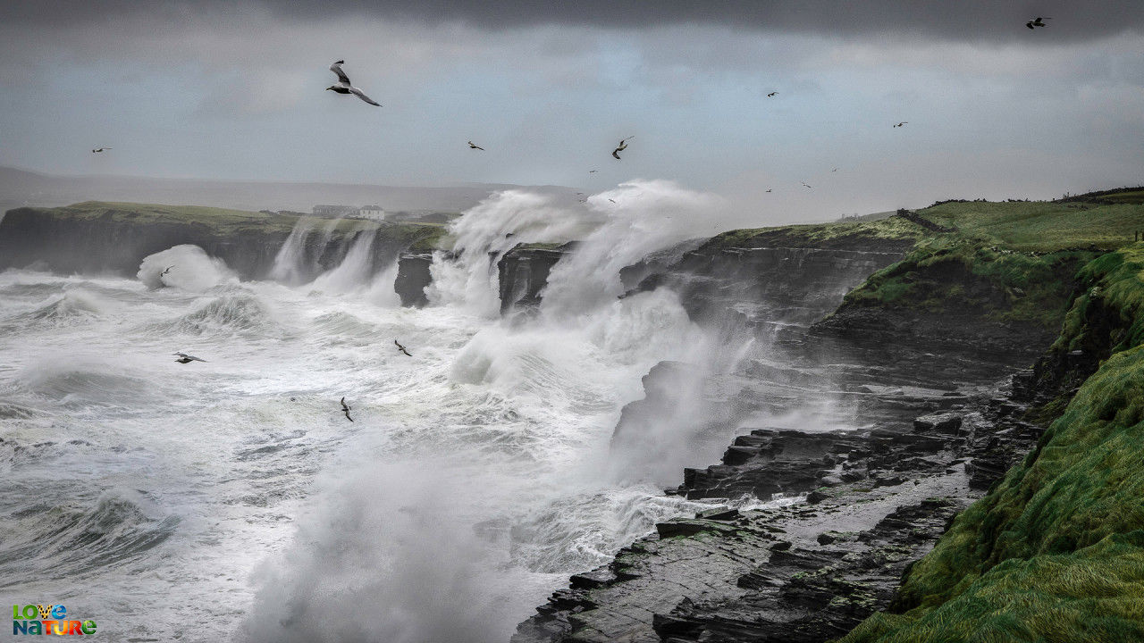 Ireland’s Wild Islands - S1