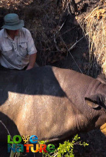 Guardians Of The Wild - Mission Black Rhino