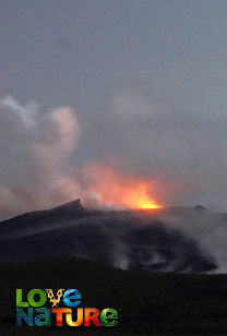 Vulkanisch avontuur - In het pad van de vulkaan