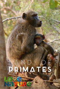 Land Of Primates