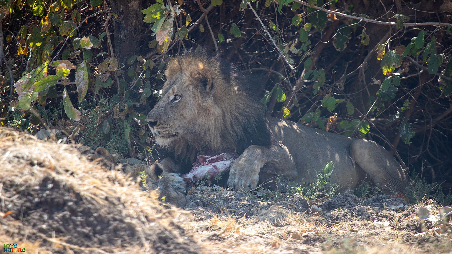 Tragedy Strikes Kakumbi