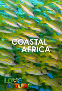 Coastele Africii