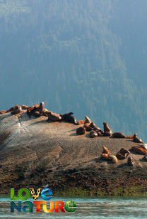 Zomer in Alaska