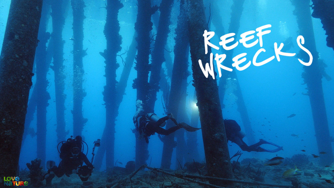 Reef Wrecks