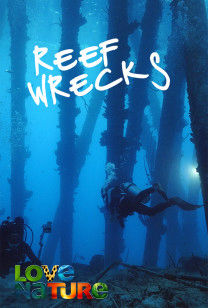 Reef Wrecks