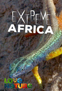 Extrém Afrika