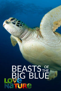 Beasts Of The Big Blue