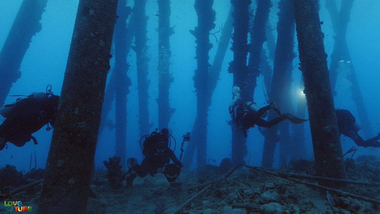 Bonaire hajóroncsai